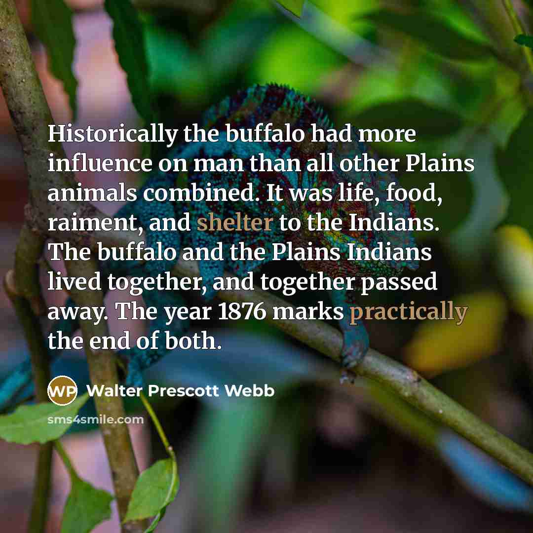 “Historically the buffalo had more influence on man than all…” quote by Walter Prescott Webb