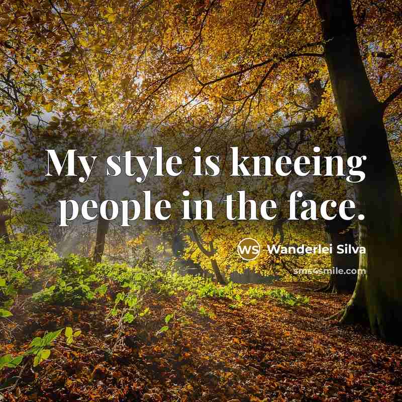 “My style is kneeing people in the face.” quote by Wanderlei Silva