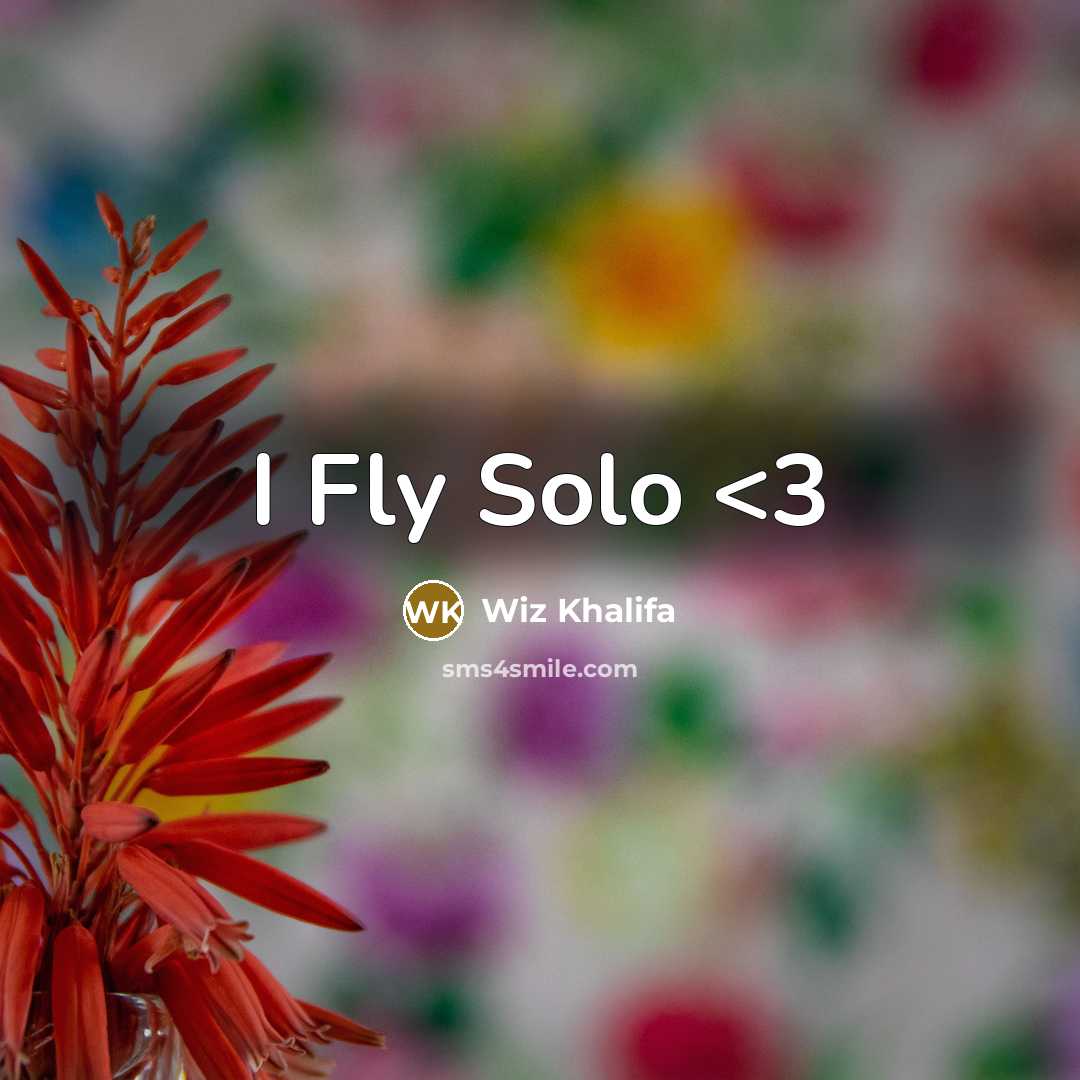 “I Fly Solo” quote by Wiz Khalifa