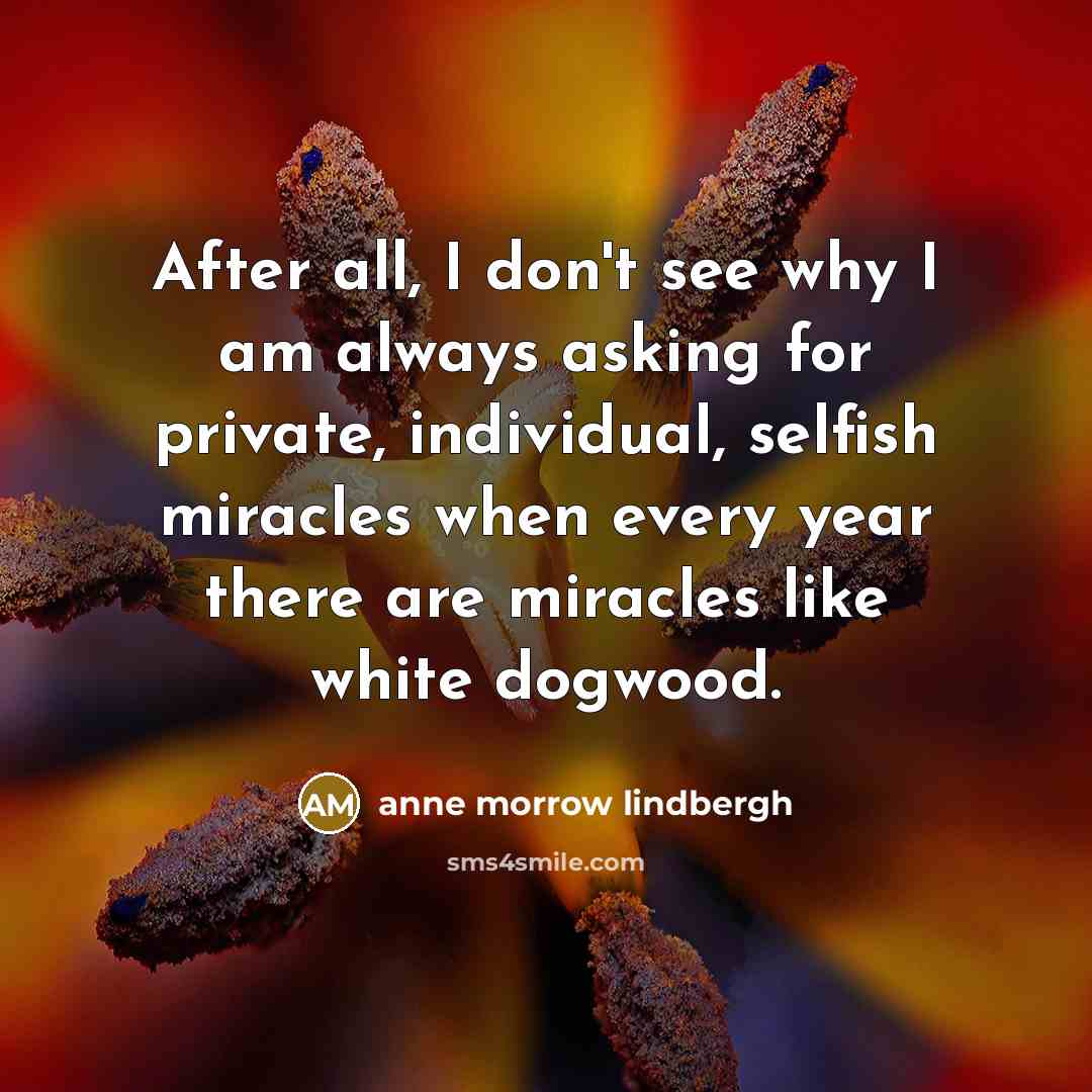 “After all, I don't see why I am always asking…” quote by Anne Morrow Lindbergh