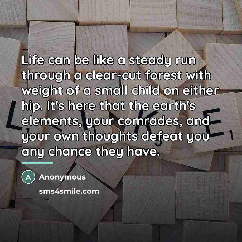 “Life can be like a steady run through a clear-cut…” quote by Anonymous