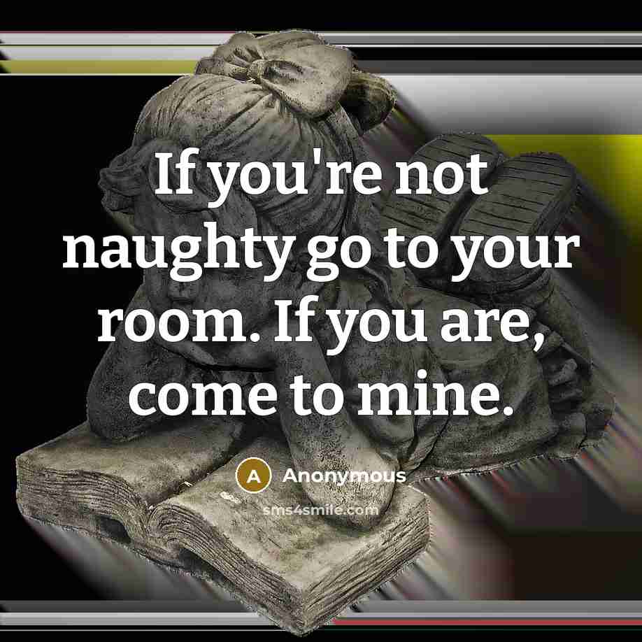“If you're not naughty go to your room. If you are, come to mine.” quote by Anonymous