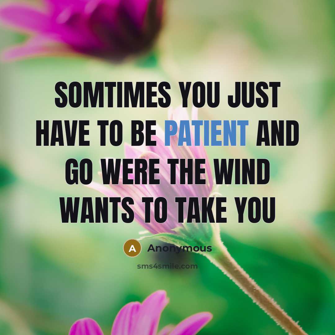 “Somtimes you just have to be patient and go were the wind wants to take you” quote by Anonymous