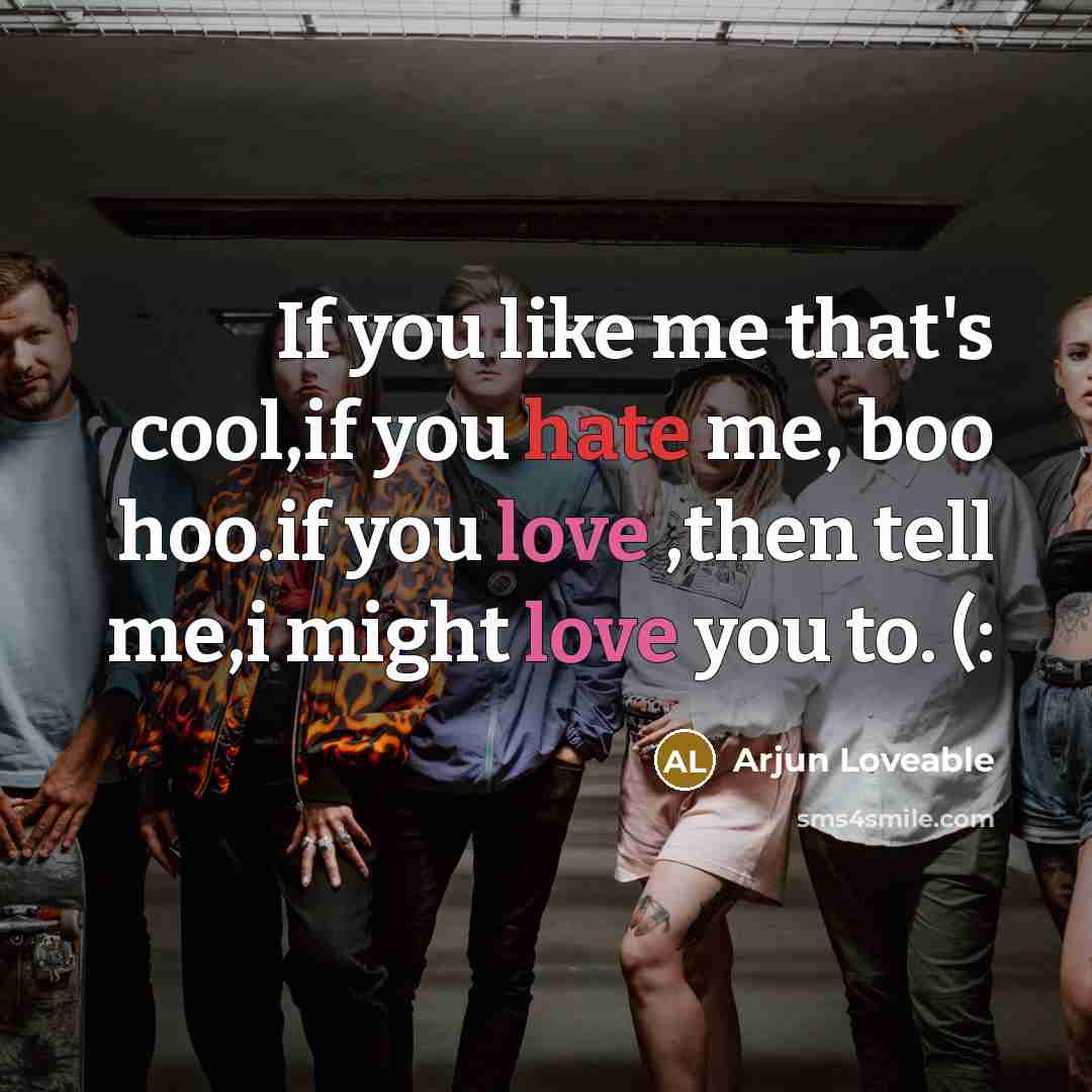 “If you like me that's cool,if you hate me, boo…” quote by Arjun Loveable