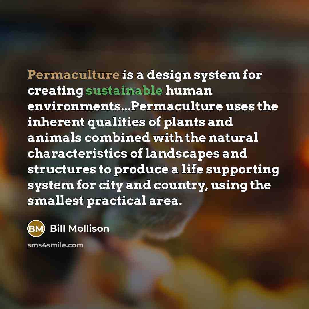 “Permaculture is a design system for creating sustainable human environments...Permaculture uses the inherent qualities of plants and animals combined with the natural characteristics of landscapes and structures to produce a life supporting system for city and country, using the smallest practical…” quote by Bill Mollison