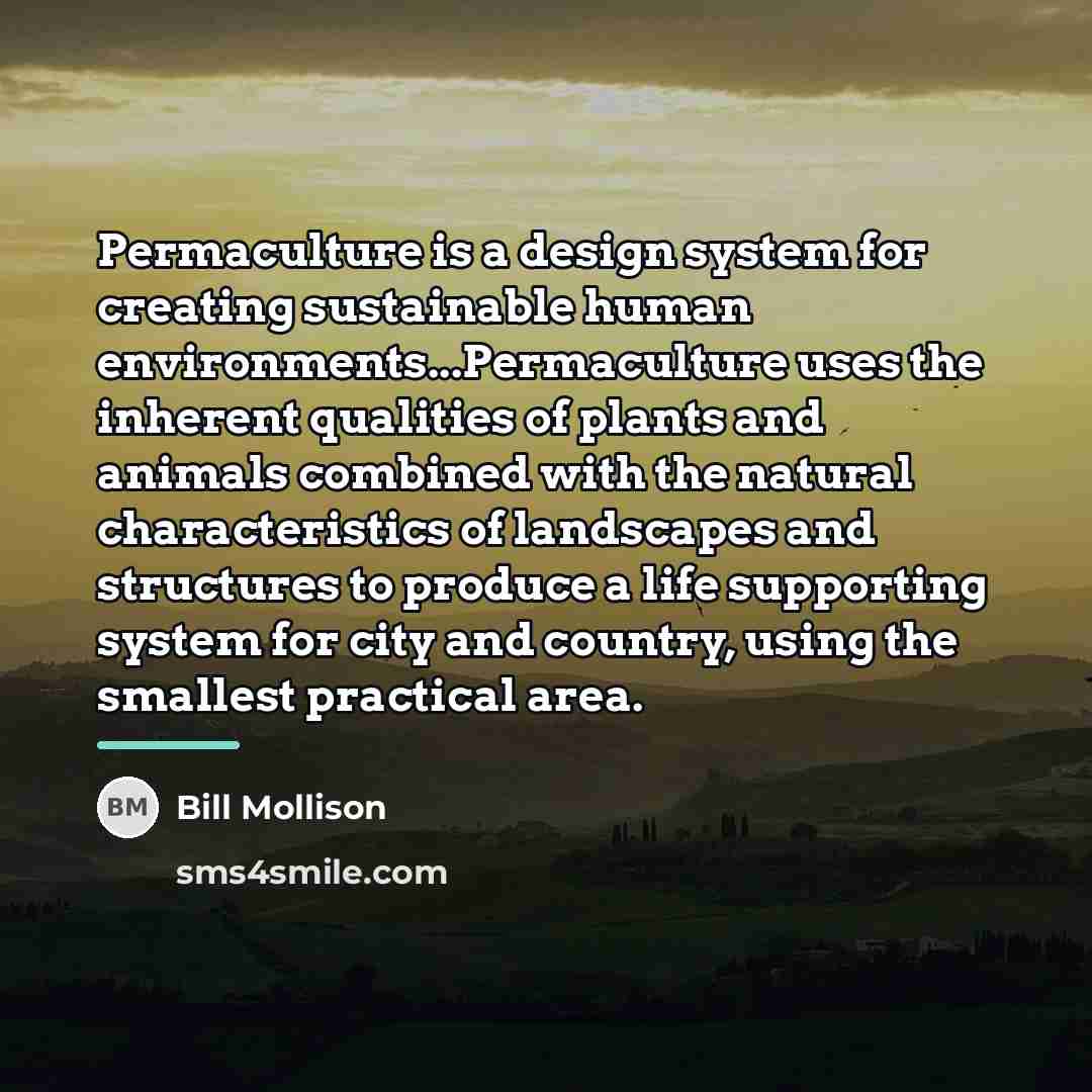 “Permaculture is a design system for creating sustainable human environments...Permaculture…” quote by Bill Mollison