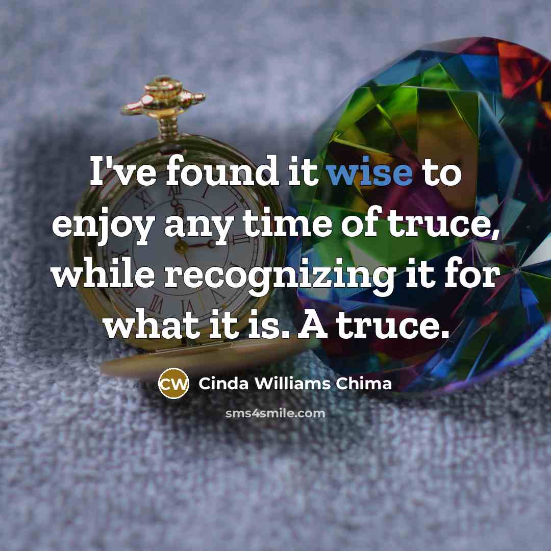 “I've found it wise to enjoy any time of truce,…” quote by Cinda Williams Chima