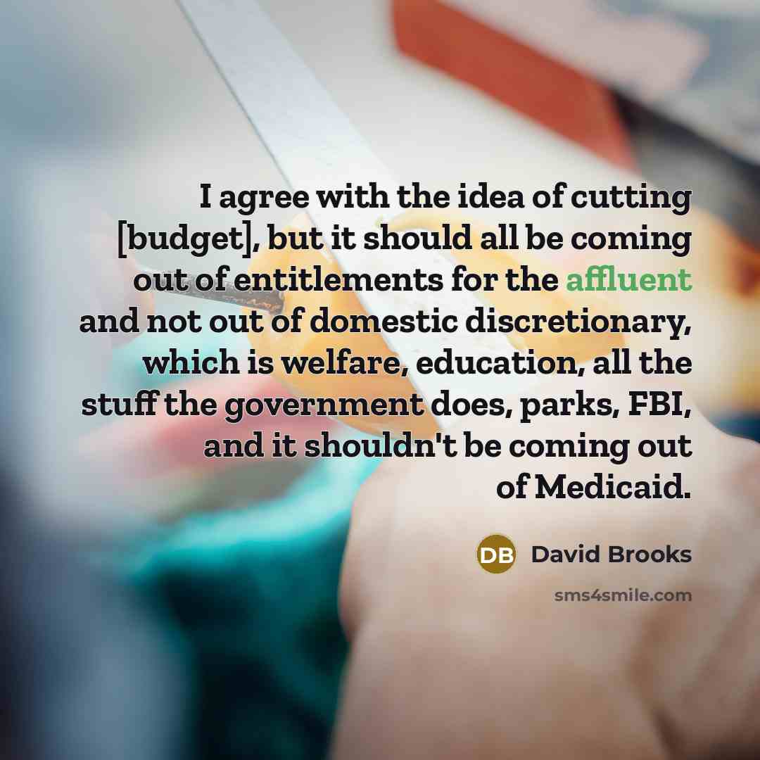 “I agree with the idea of cutting [budget], but it…” quote by David Brooks