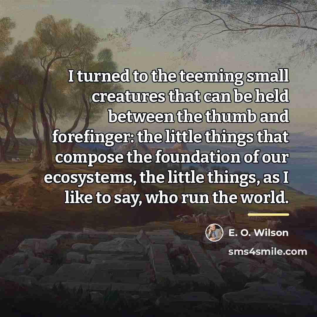 “I turned to the teeming small creatures that can be…” quote by E. O. Wilson
