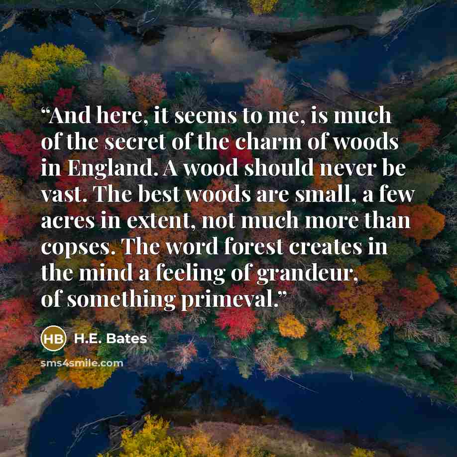 “And here, it seems to me, is much of the secret of the charm of woods in England. A wood should never be vast. The best woods are small, a few acres in extent, not much more than copses. The word forest creates in the mind a feeling of grandeur, of something primeval.” quote by H.E. Bates