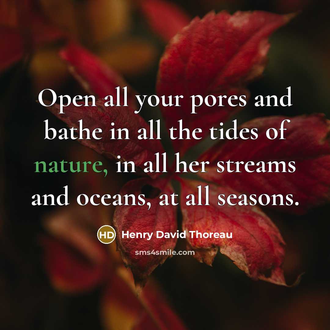 “Open all your pores and bathe in all the tides…” quote by Henry David Thoreau