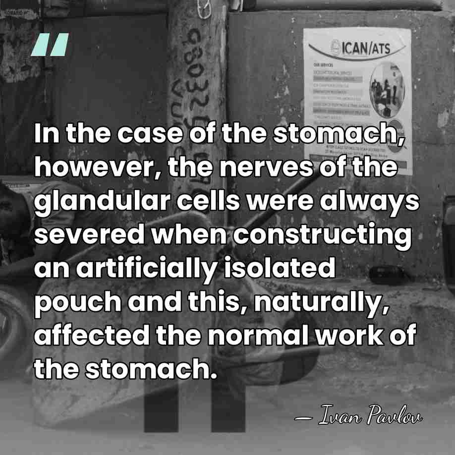 In the case of the stomach, however, the nerves of the glandular&hellip; - Ivan Pavlov