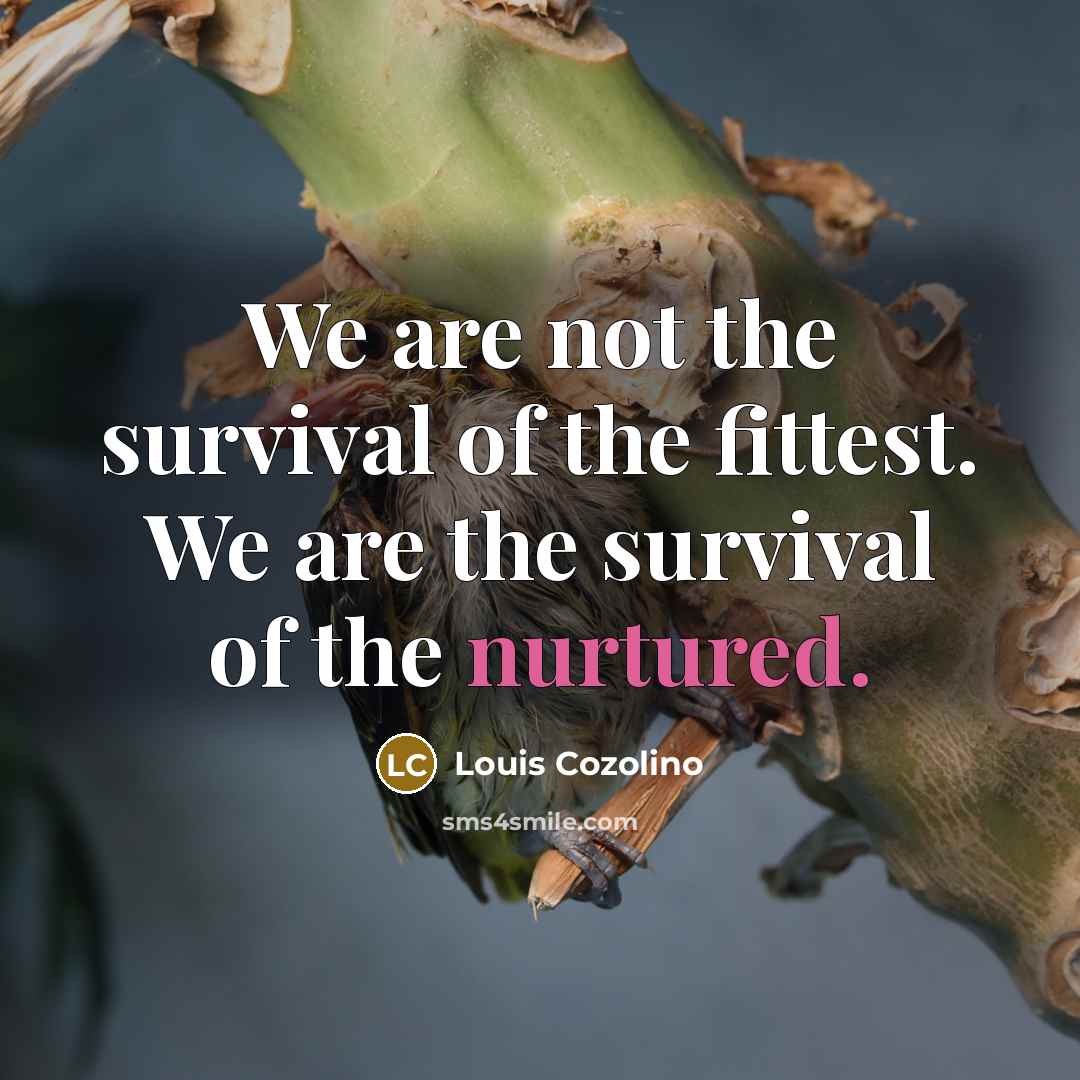 “We are not the survival of the fittest. We are the survival of the nurtured.” quote by Louis Cozolino