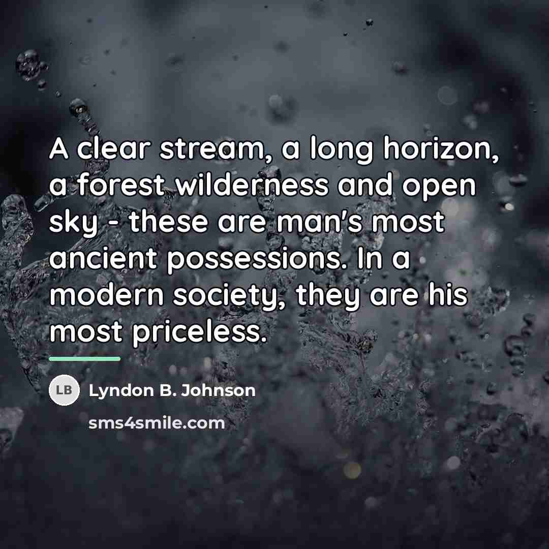 “A clear stream, a long horizon, a forest wilderness and…” quote by Lyndon B. Johnson