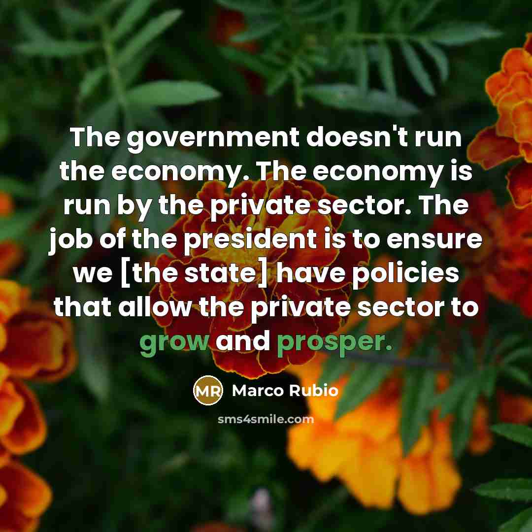 “The government doesn't run the economy. The economy is run…” quote by Marco Rubio