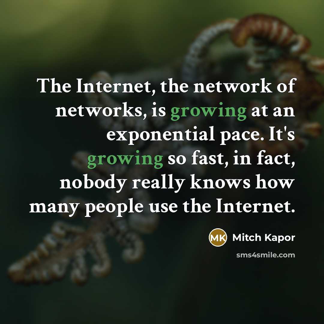 “The Internet, the network of networks, is growing at an…” quote by Mitch Kapor