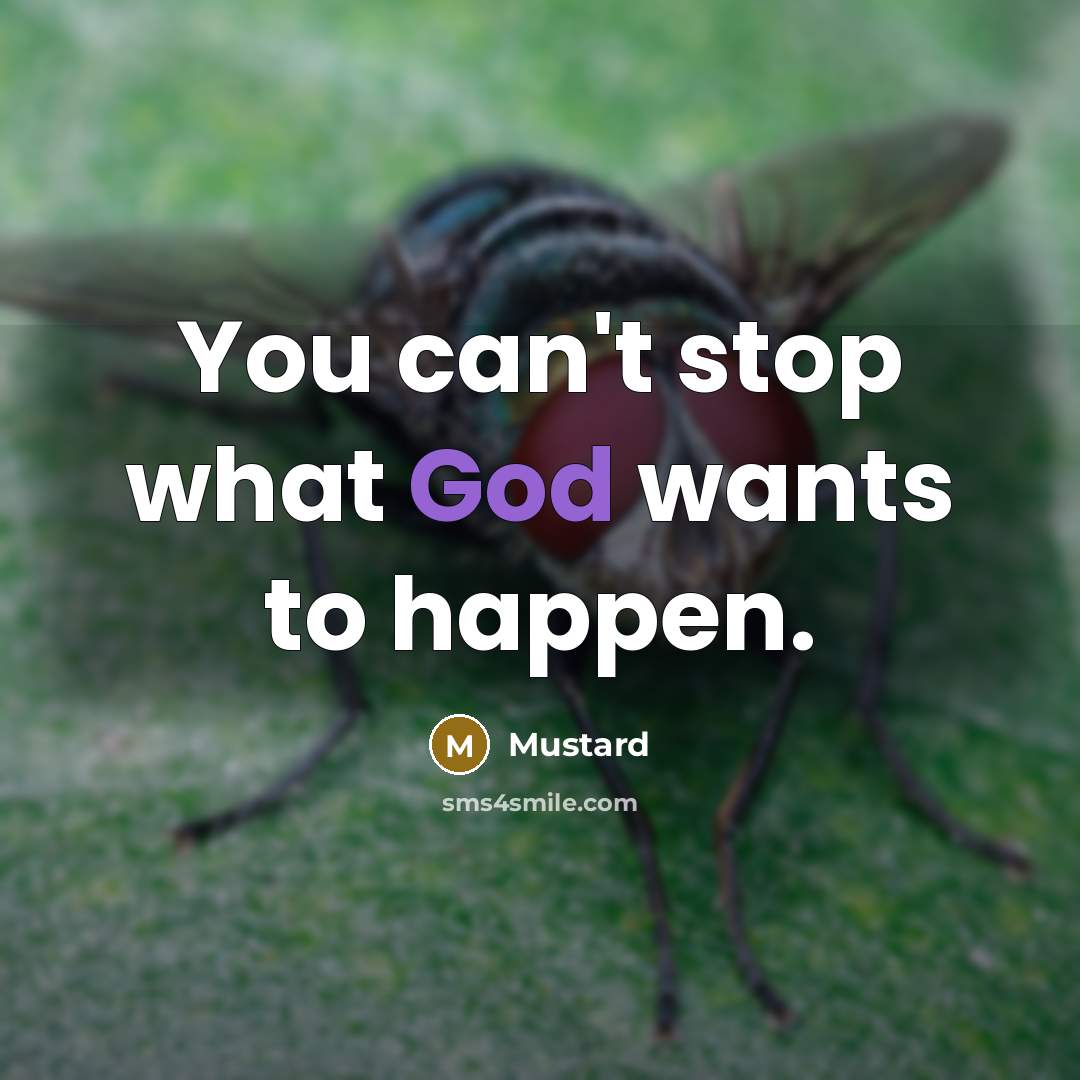 “You can't stop what God wants to happen.…” quote by Mustard