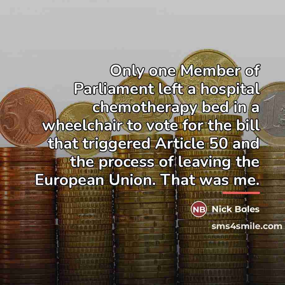 “Only one Member of Parliament left a hospital chemotherapy bed…” quote by Nick Boles