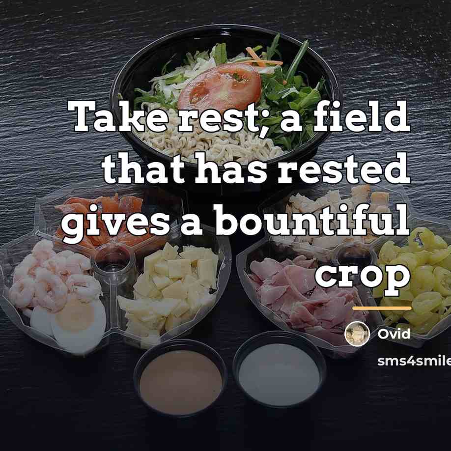 “Take rest; a field that has rested gives a bountiful…” quote by Ovid