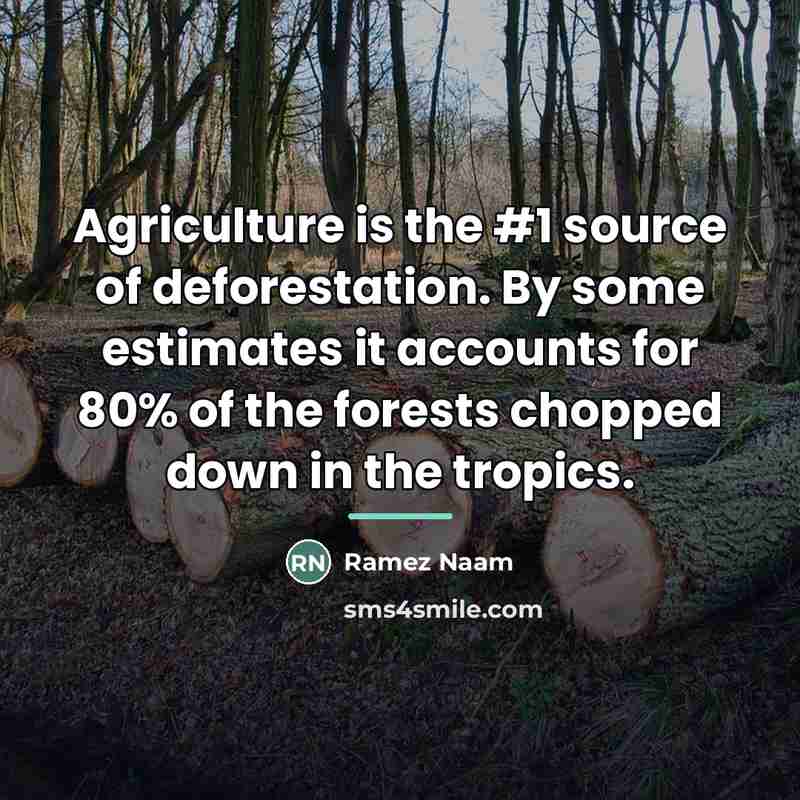 “Agriculture is the #1 source of deforestation. By some estimates…” quote by Ramez Naam