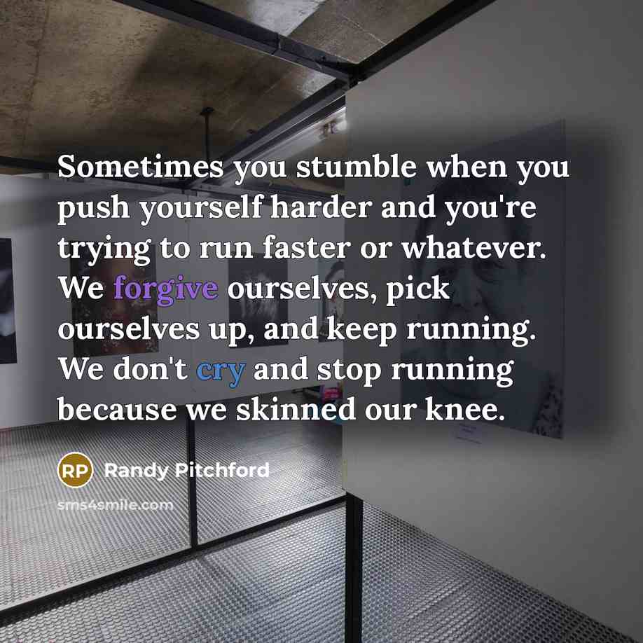 “Sometimes you stumble when you push yourself harder and you're…” quote by Randy Pitchford