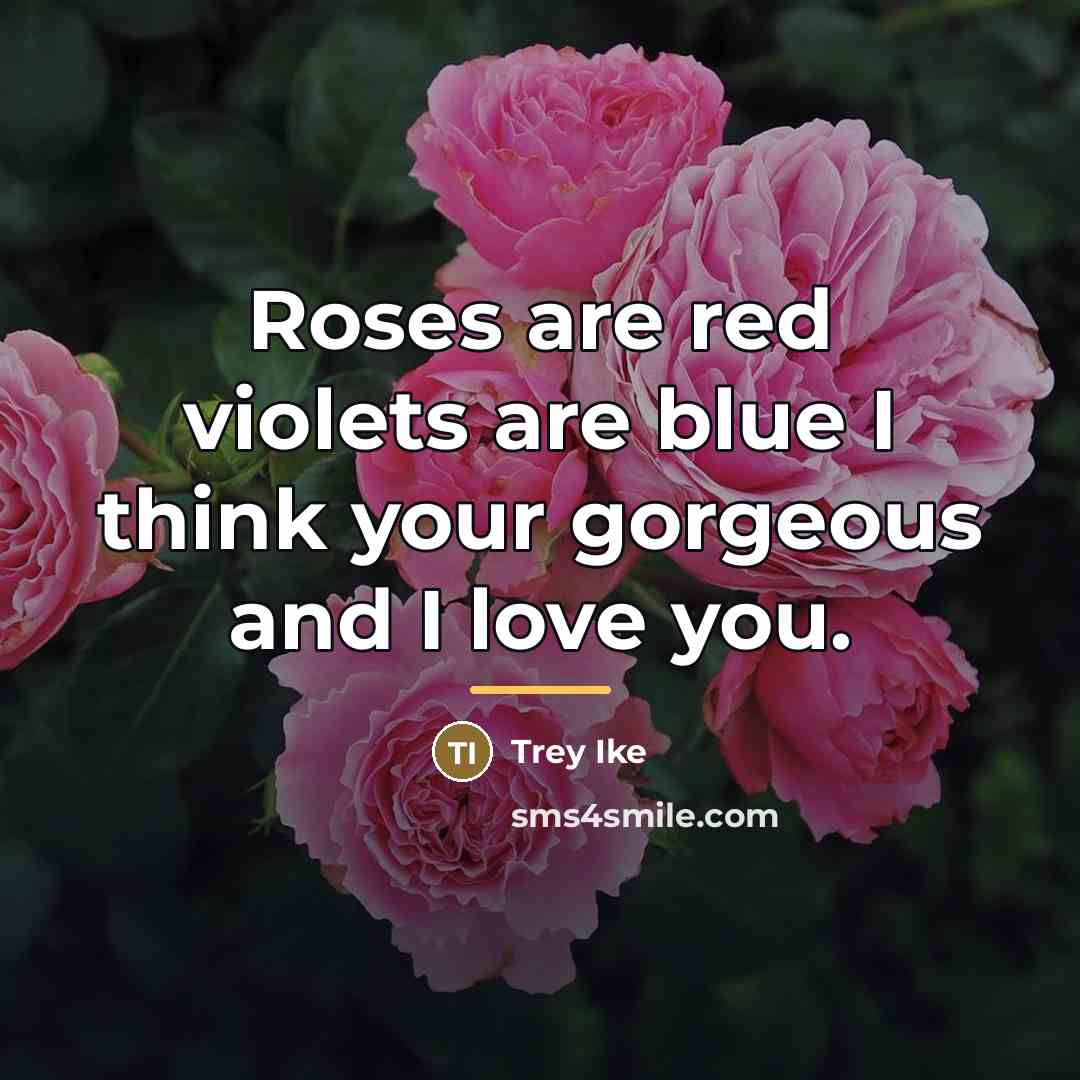 “Roses are red violets are blue I think your gorgeous…” quote by Trey Ike