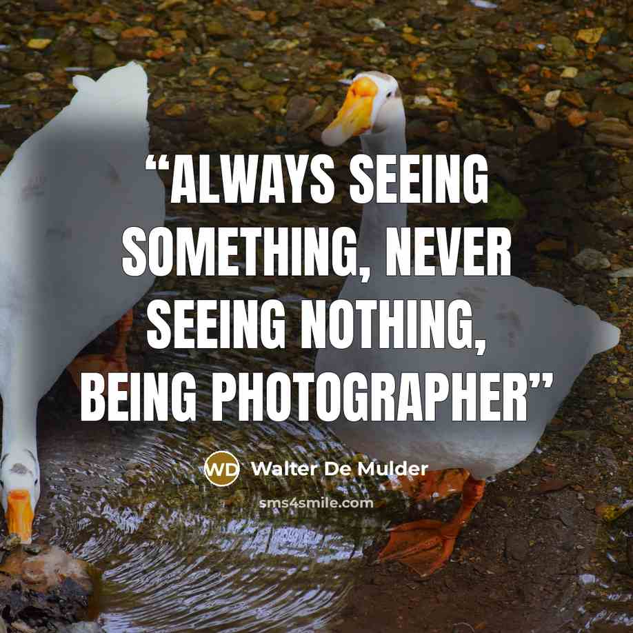 “Always seeing something, never seeing nothing, being photographer” quote by Walter De Mulder