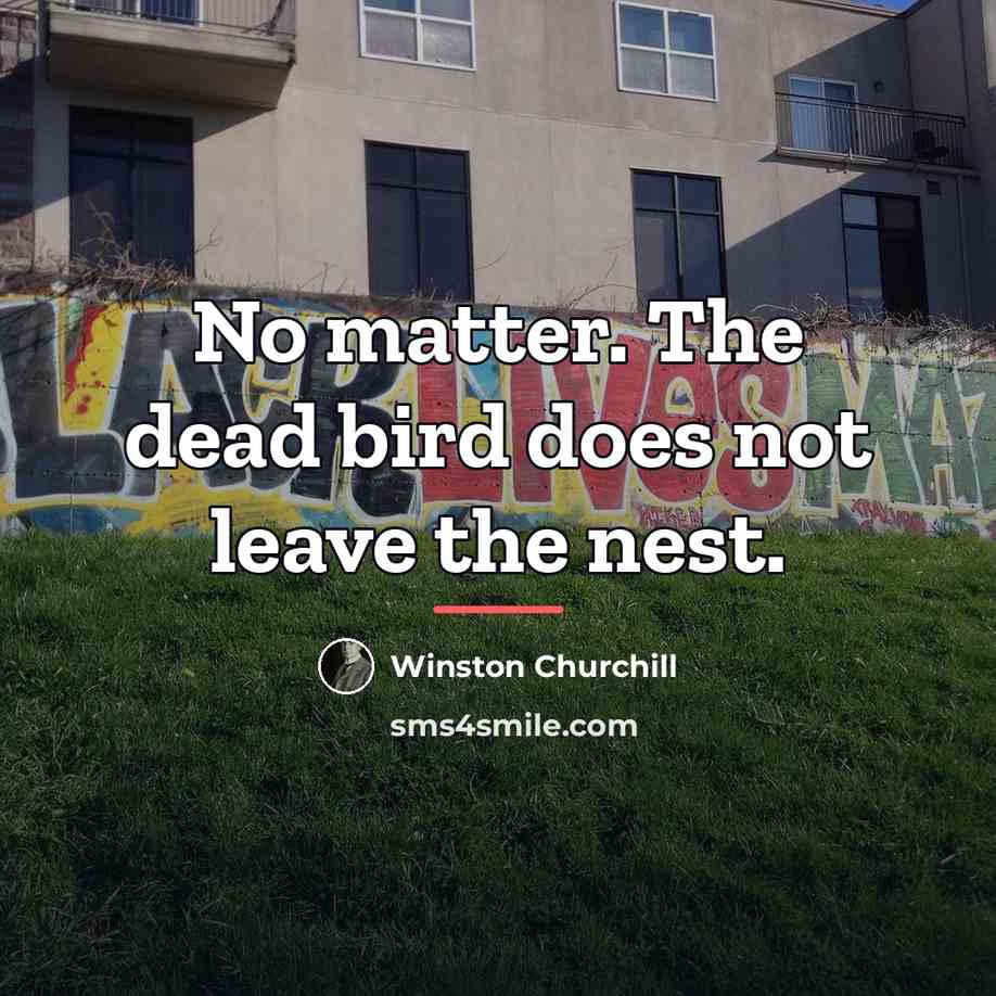 “No matter. The dead bird does not leave the nest.…” quote by Winston Churchill