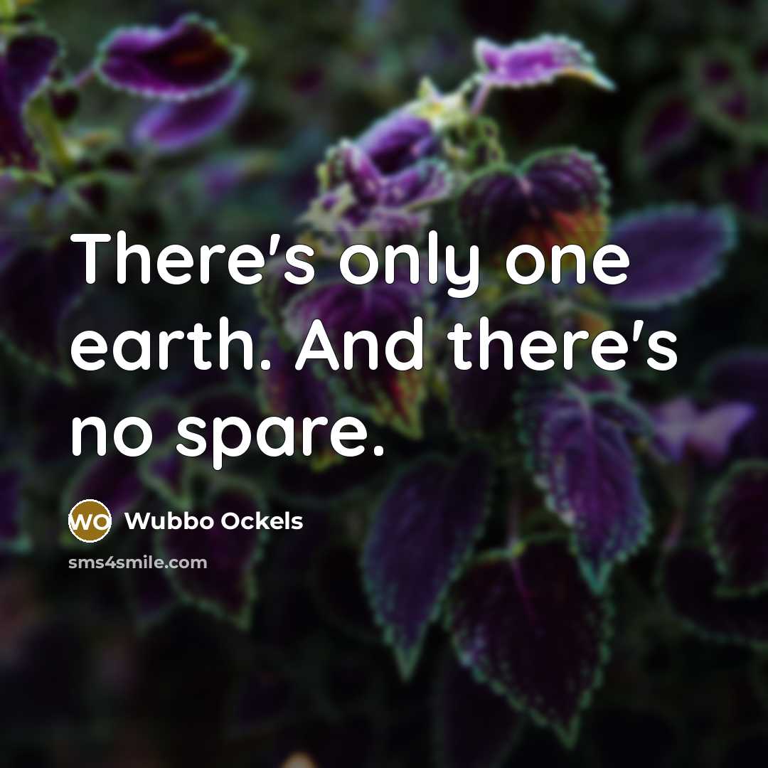 “There's only one earth. And there's no spare.…” quote by Wubbo Ockels