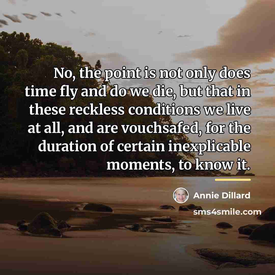“No, the point is not only does time fly and…” quote by Annie Dillard