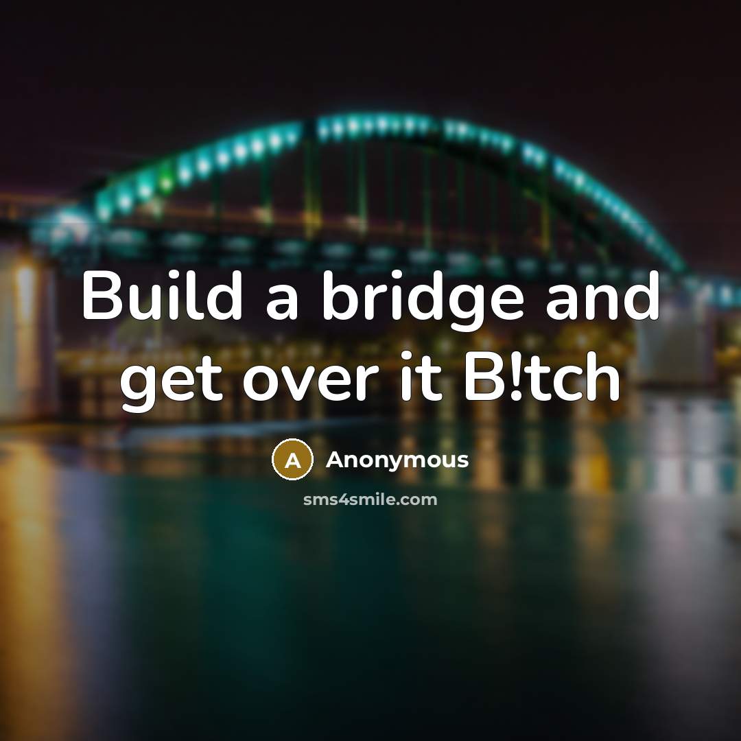 “Build a bridge and get over it B!tch” quote by Anonymous