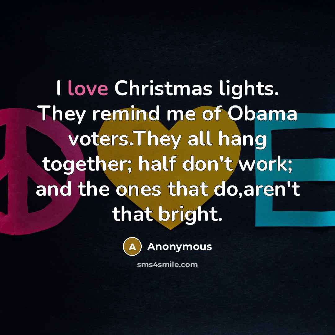 “I love Christmas lights. They remind me of Obama voters.They…” quote by Anonymous