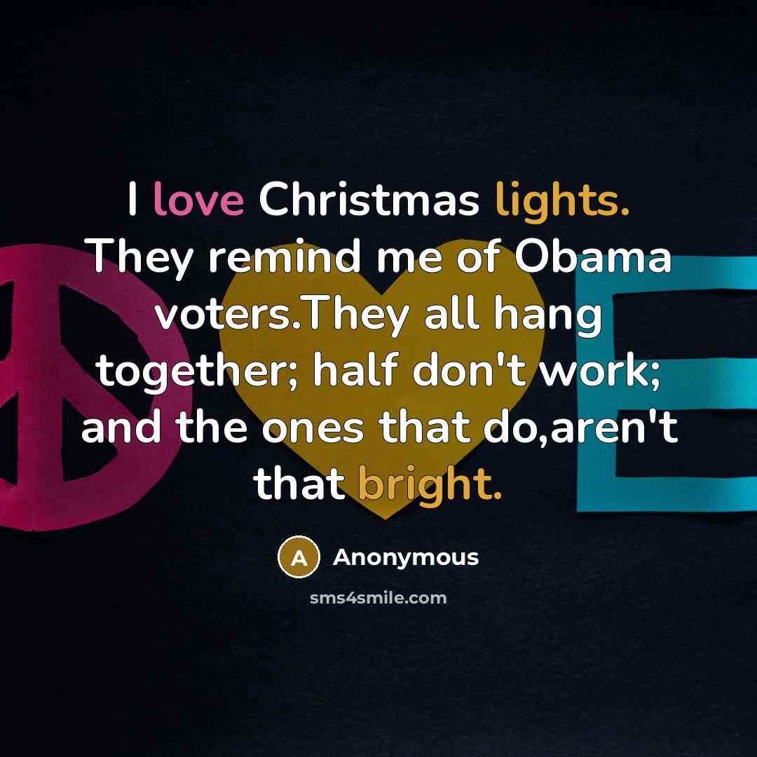“I love Christmas lights. They remind me of Obama voters.They all hang together; half don't work; and the ones that do,aren't that bright.” quote by Anonymous