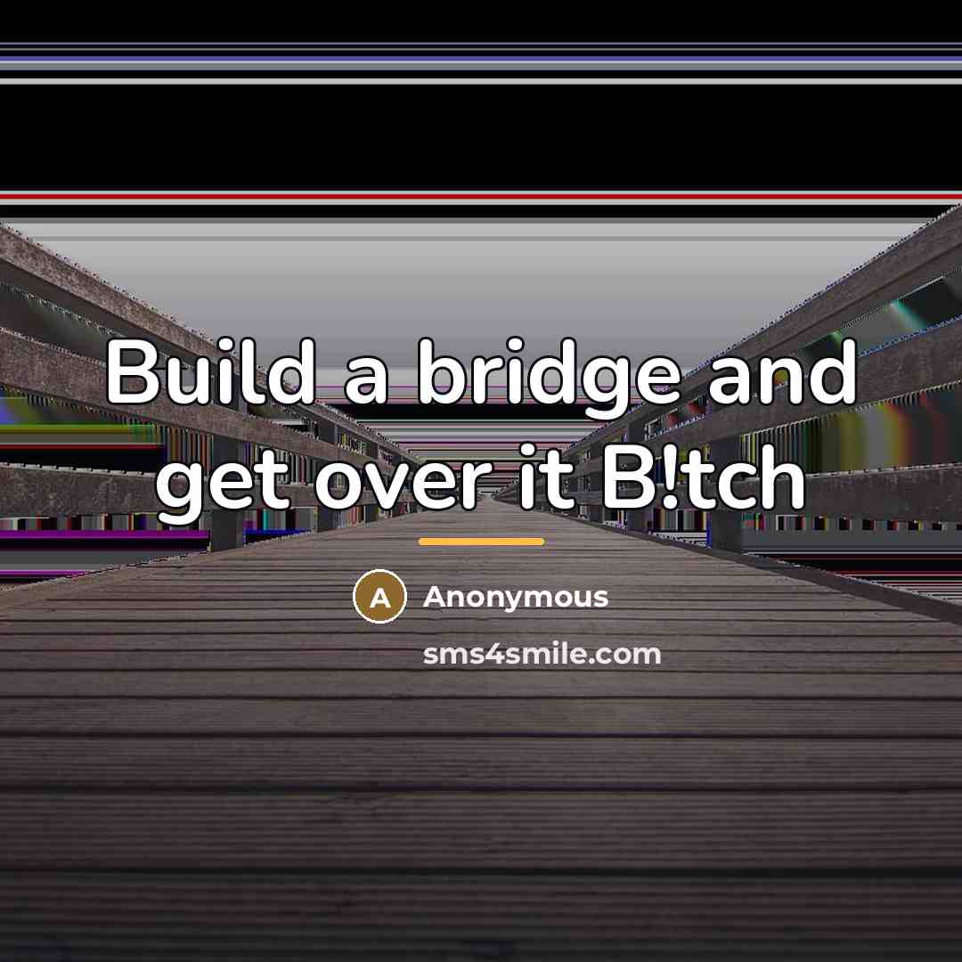“Build a bridge and get over it B!tch…” quote by Anonymous