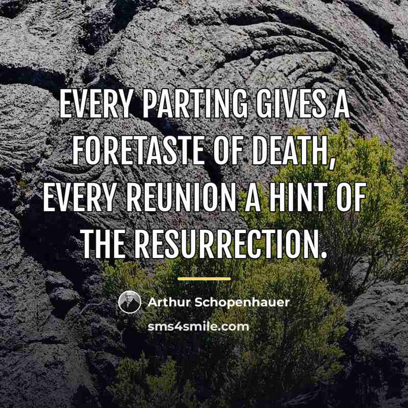 “Every parting gives a foretaste of death, every reunion a…” quote by Arthur Schopenhauer