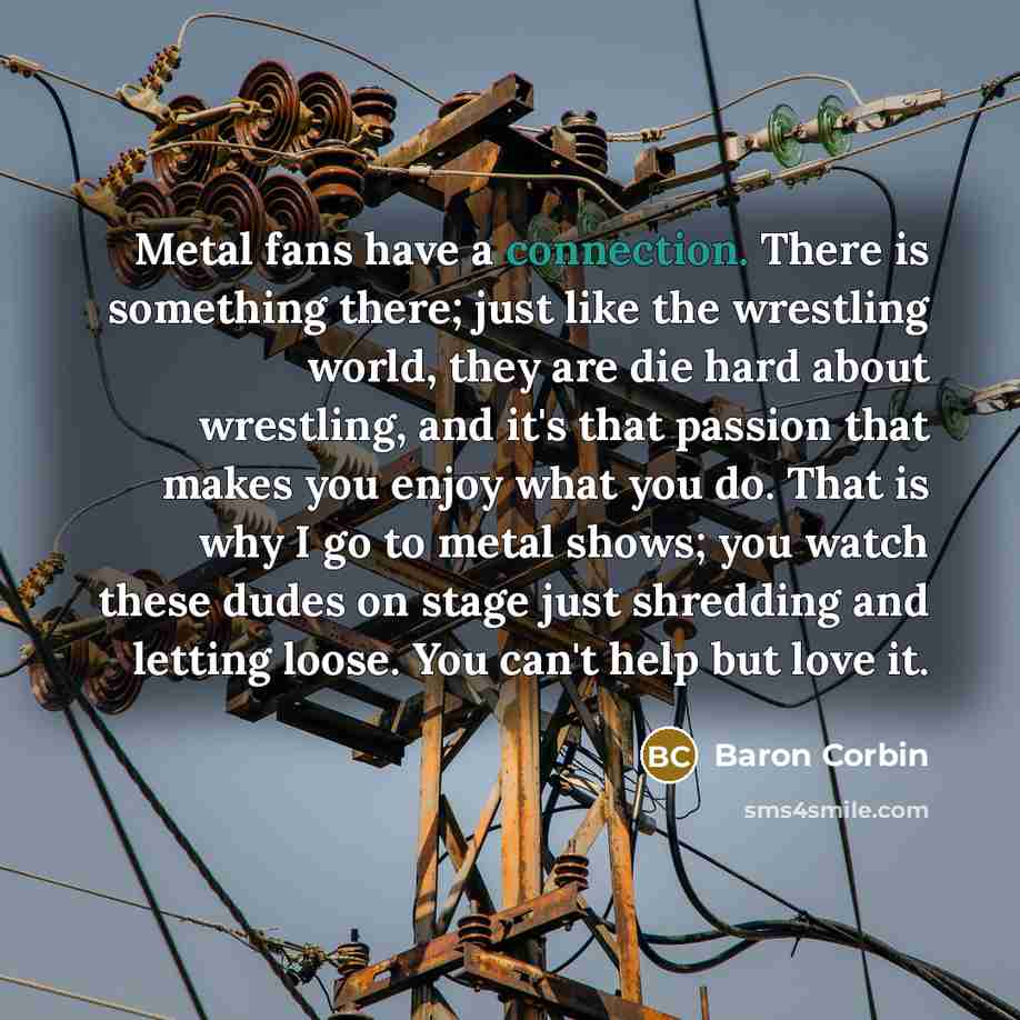 “Metal fans have a connection. There is something there; just…” quote by Baron Corbin