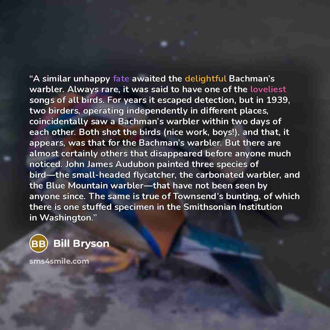 “A similar unhappy fate awaited the delightful Bachman’s warbler. Always rare, it was said to have one of the loveliest songs of all birds. For years it escaped detection, but in 1939, two birders, operating independently in different places, coincidentally saw a Bachman’s warbler within two days…” quote by Bill Bryson