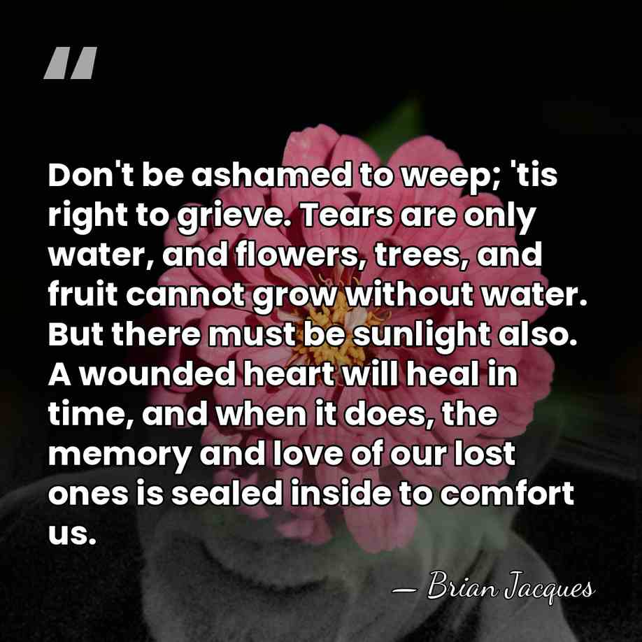 Don't be ashamed to weep; 'tis right to grieve. Tears are only&hellip; - Brian Jacques