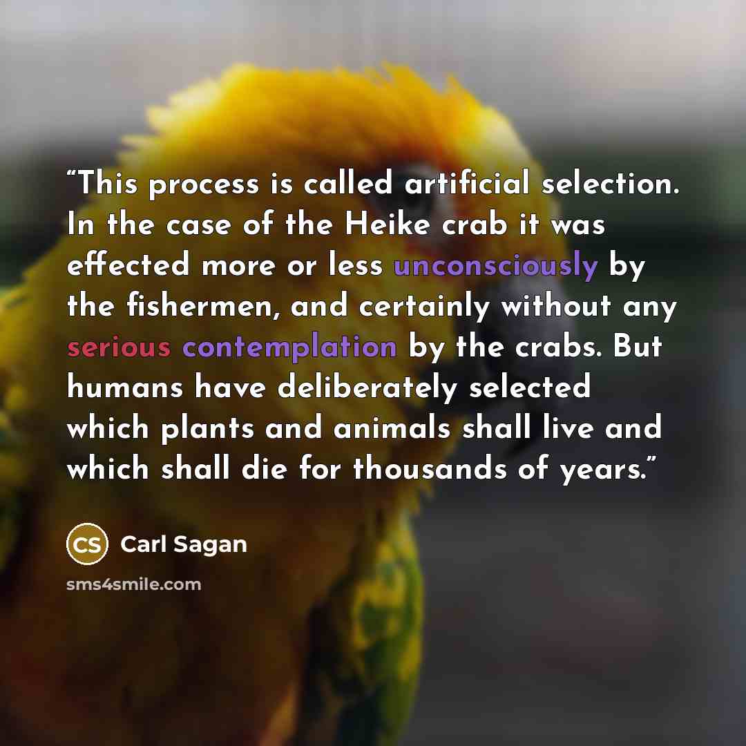 “This process is called artificial selection. In the case of the Heike crab it was effected more or less unconsciously by the fishermen, and certainly without any serious contemplation by the crabs. But humans have deliberately selected which plants and animals shall live and which shall die for…” quote by Carl Sagan