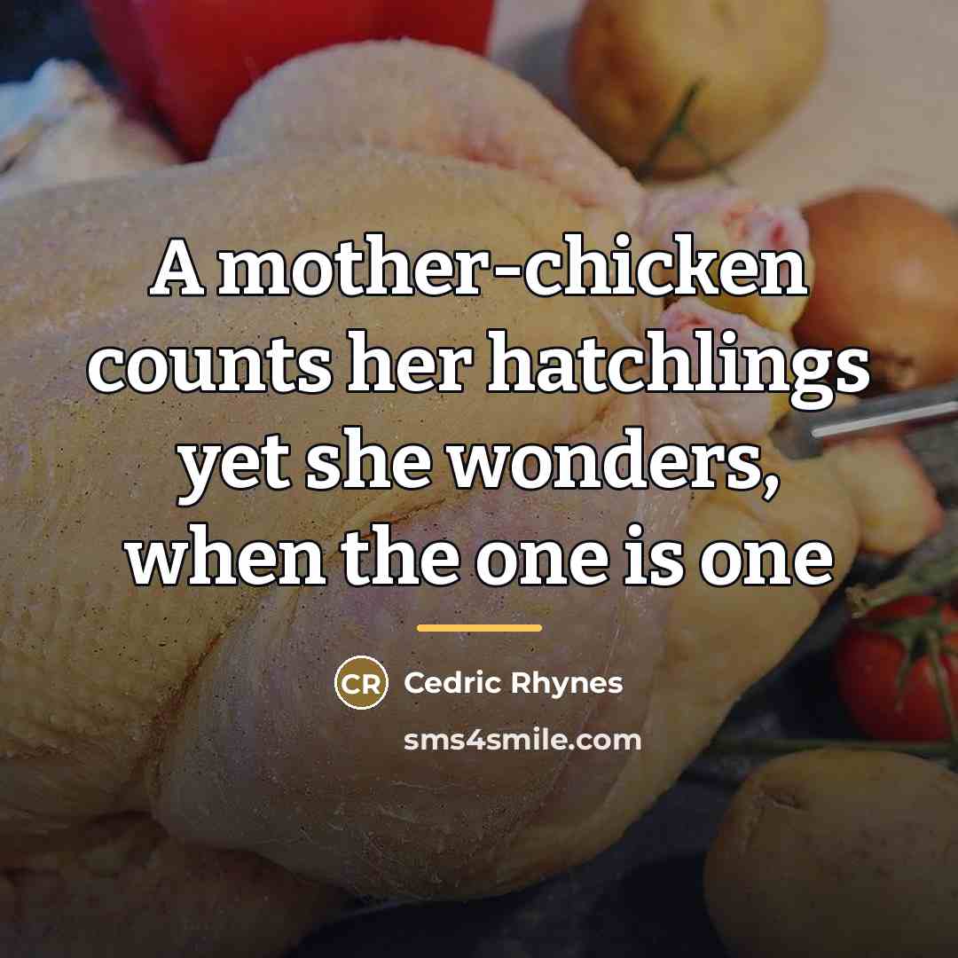 “A mother-chicken counts her hatchlings yet she wonders, when the…” quote by Cedric Rhynes