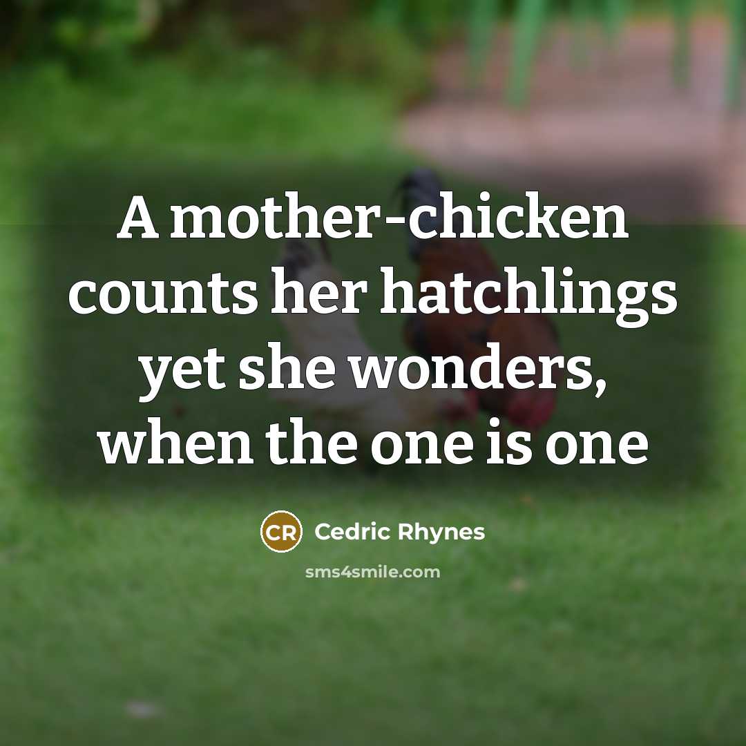 “A mother-chicken counts her hatchlings yet she wonders, when the one is one” quote by Cedric Rhynes