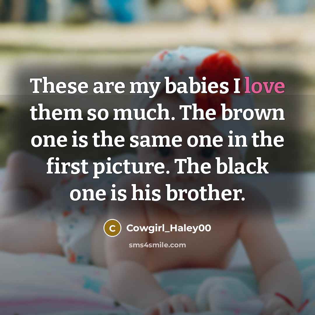 “These are my babies I love them so much. The…” quote by Cowgirl_Haley00