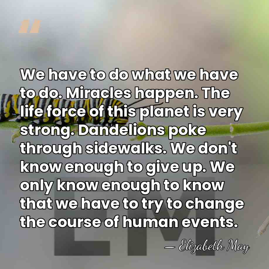 We have to do what we have to do. Miracles happen. The&hellip; - Elizabeth May