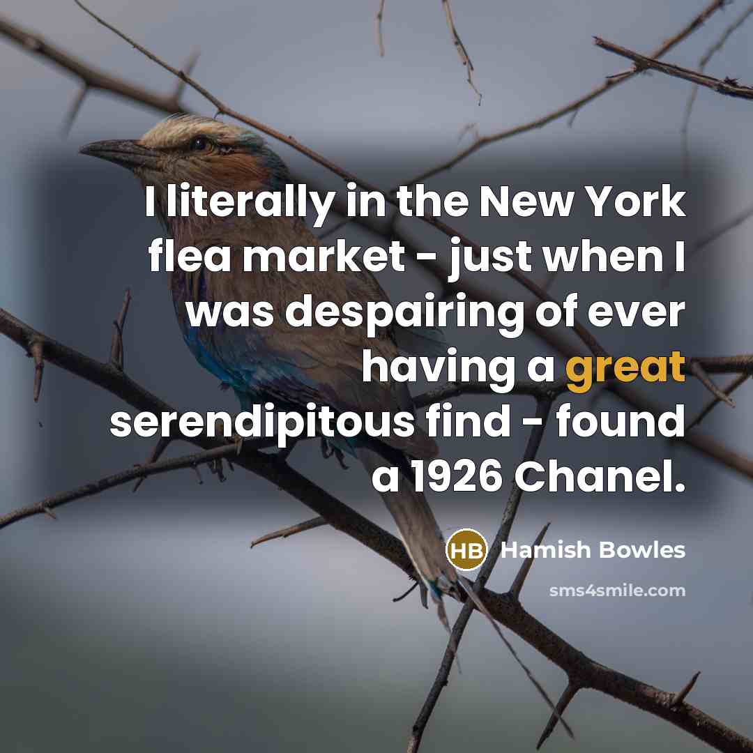 “I literally in the New York flea market - just…” quote by Hamish Bowles
