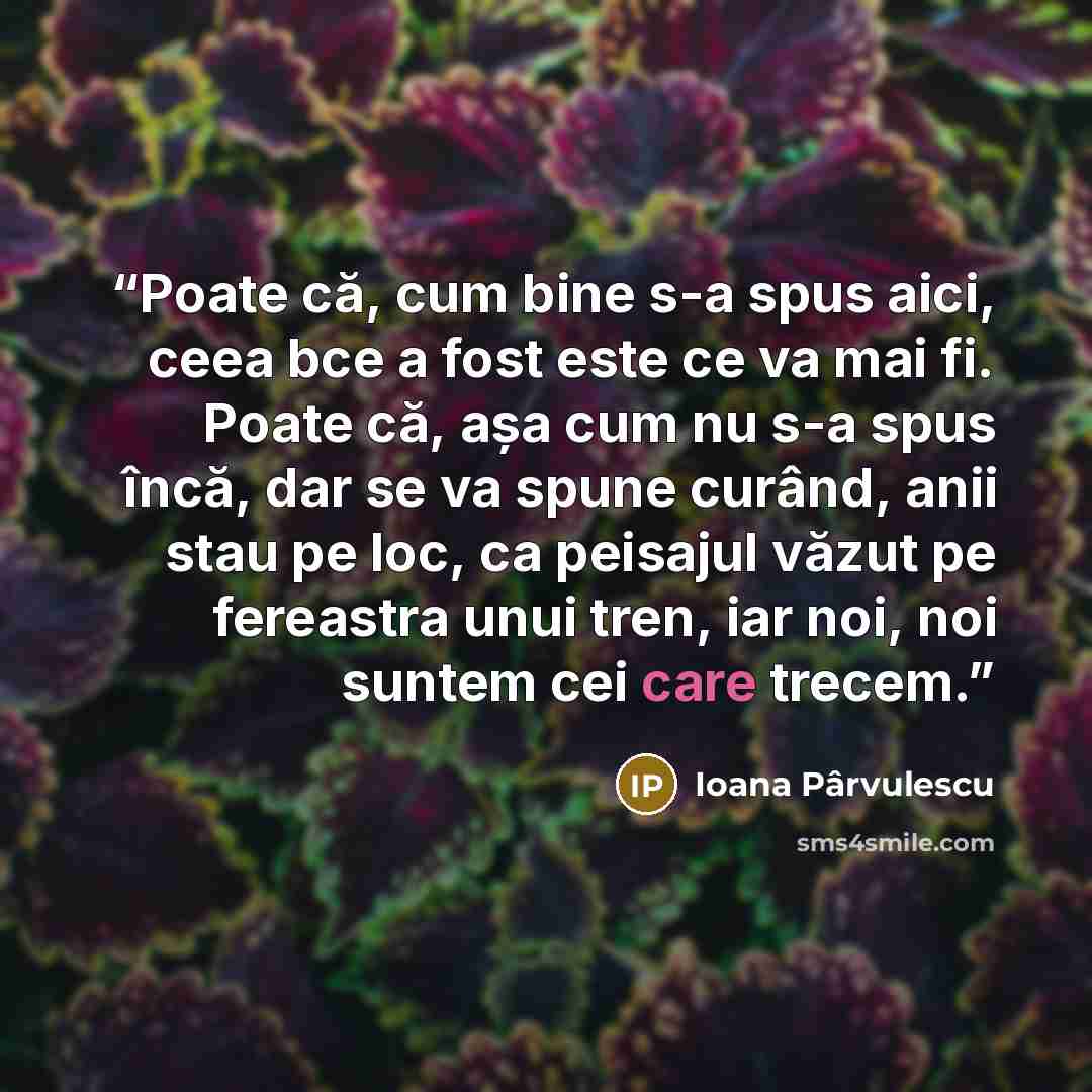 “Poate că, cum bine s-a spus aici, ceea bce a fost este ce va mai fi. Poate că, așa cum nu s-a spus încă, dar se va spune curând, anii stau pe loc, ca peisajul văzut pe fereastra unui tren, iar noi, noi suntem cei care trecem.” quote by Ioana Pârvulescu