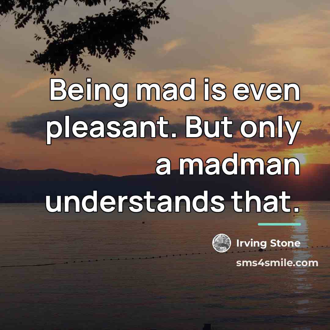 “Being mad is even pleasant. But only a madman understands…” quote by Irving Stone