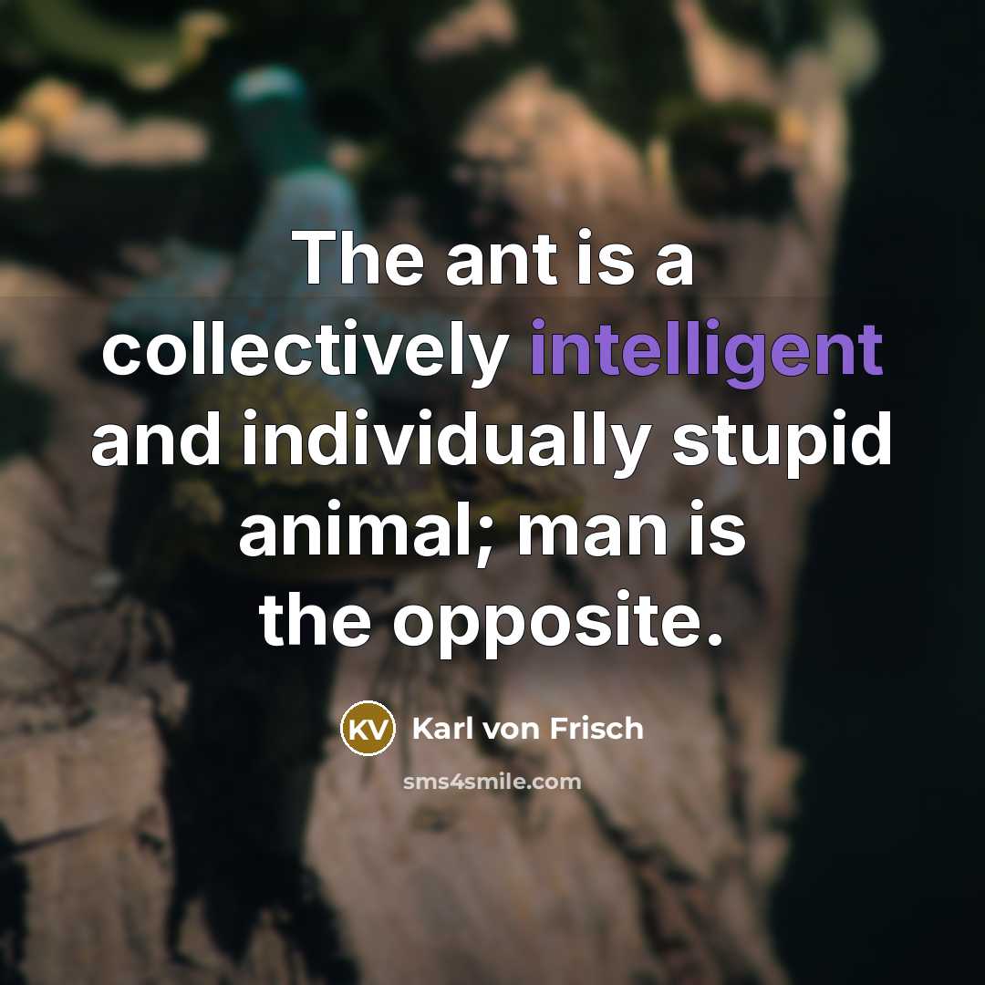 “The ant is a collectively intelligent and individually stupid animal;…” quote by Karl von Frisch