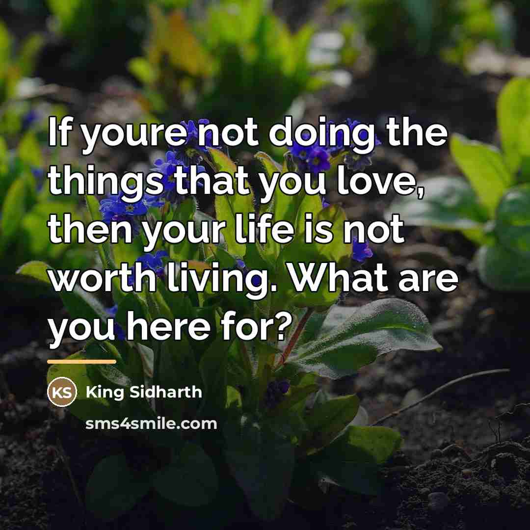 “If youre not doing the things that you love, then…” quote by King Sidharth