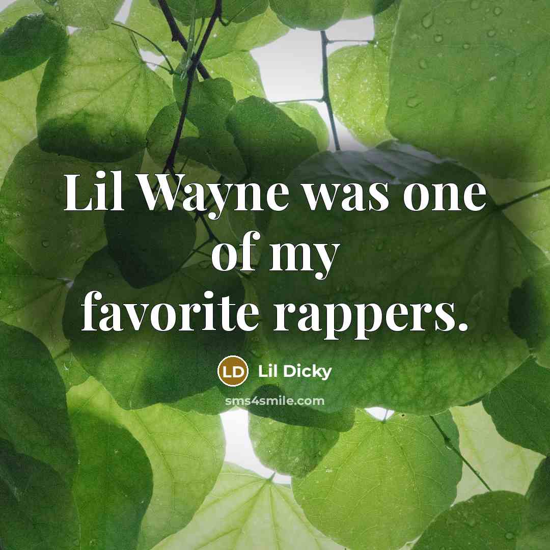 “Lil Wayne was one of my favorite rappers.…” quote by Lil Dicky