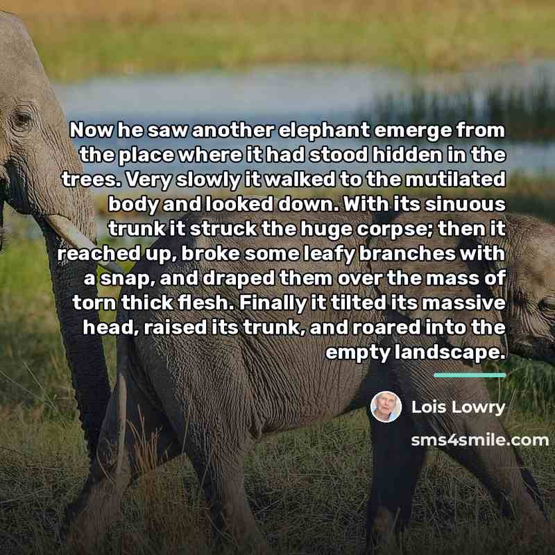 “Now he saw another elephant emerge from the place where…” quote by Lois Lowry